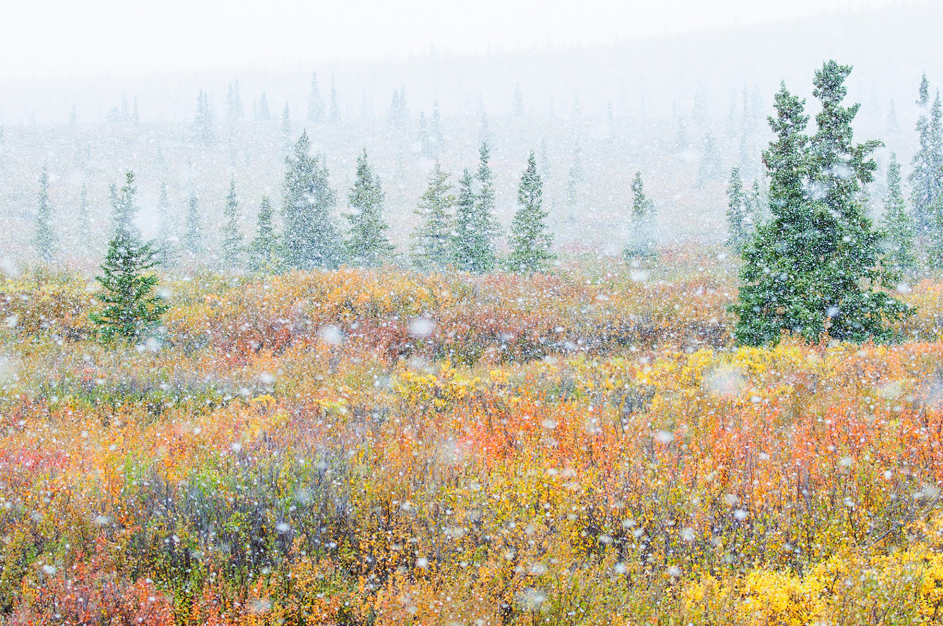 Landscape_Alaska_Autumn1