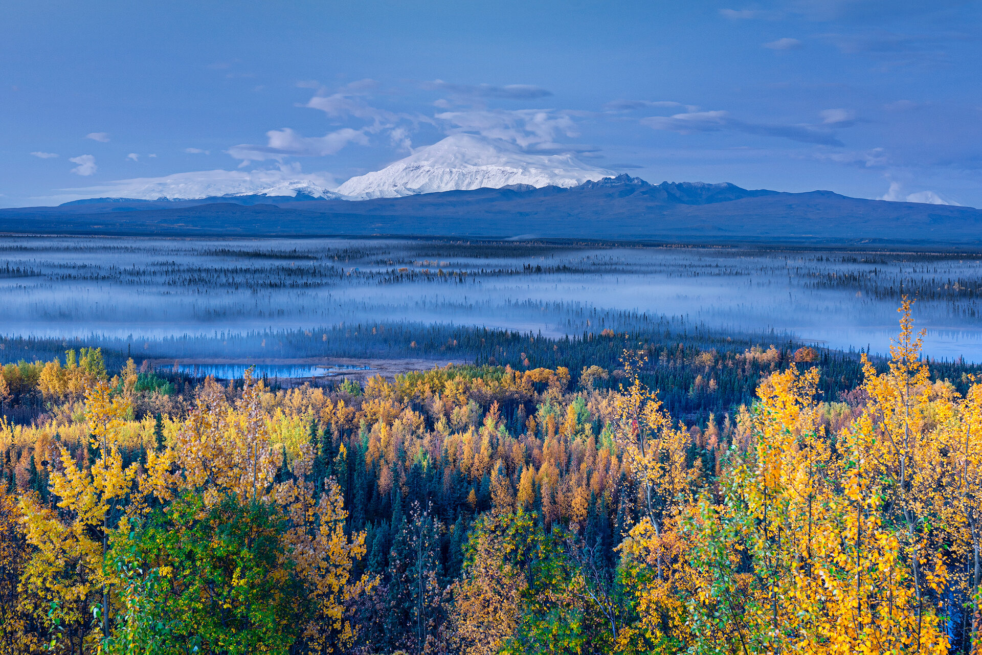 2020 NARAVA - LANDSCAPE CATEGORY - FINALIST