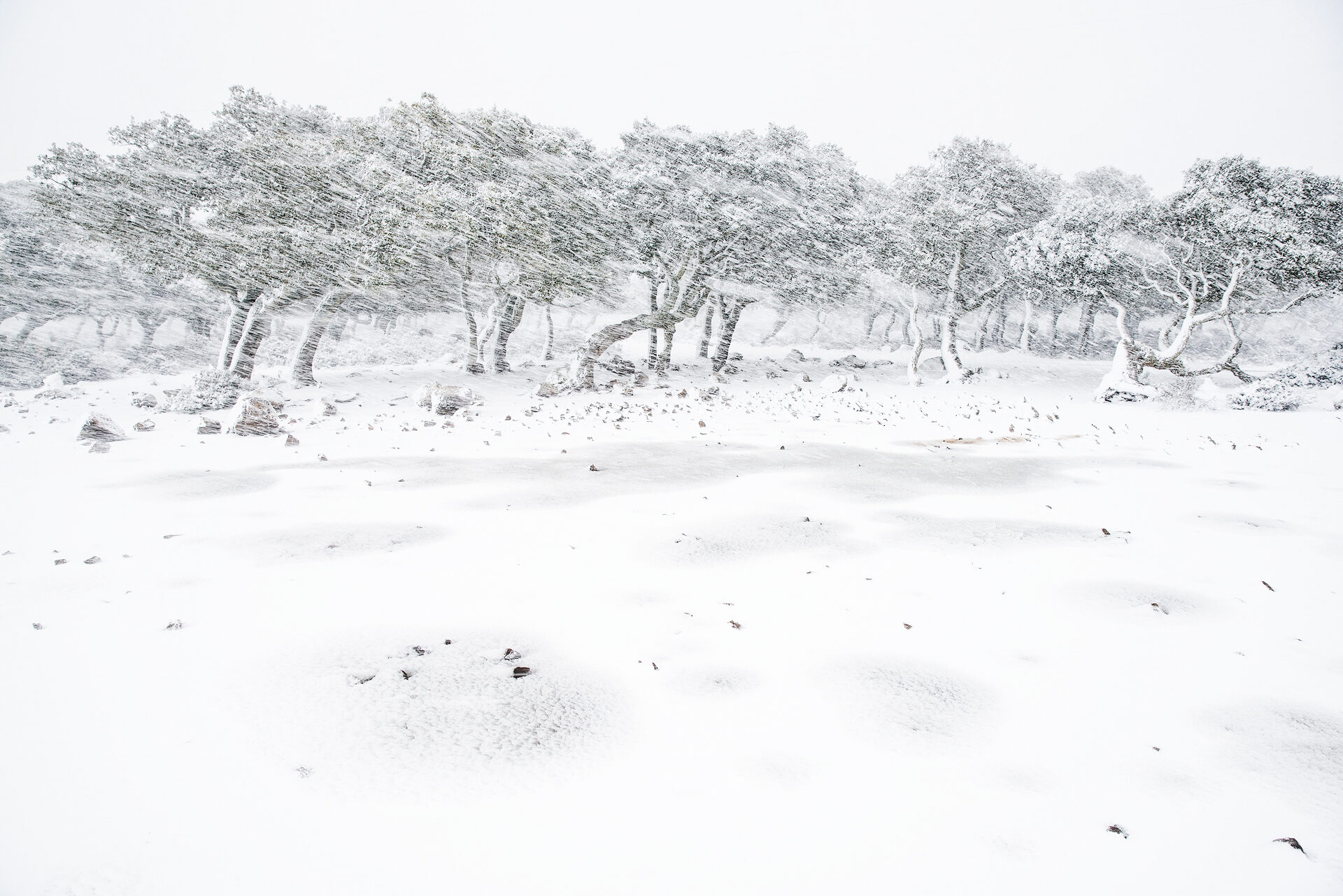 2020 Travel Photographer of the Year - CATEGORY WINNER Portfolio Landscapes & Earth Elements